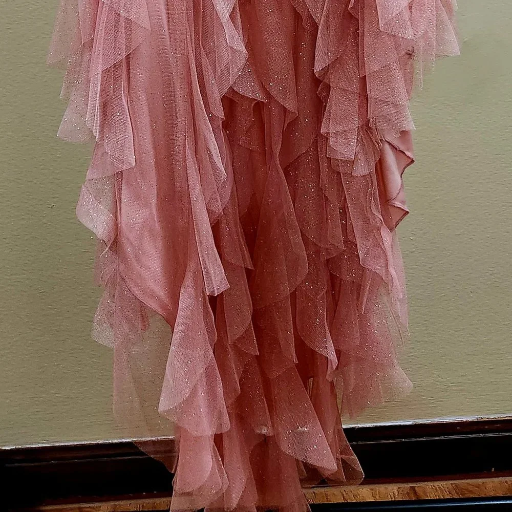 Pink Prom Dress - Picture 7 of 7